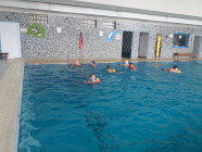 Plavání Berušek