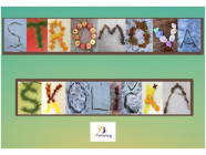 Fotogalerie k projektu: "STROMOVÁ ŠKOLIČKA"