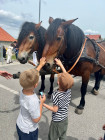 POUŤ TRUTNOVSKÉHO DRAKA DO BRNA