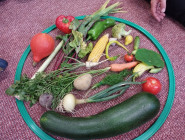 Ovoce a zelenina u berušek