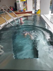 Plavání Berušek