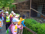 Školní výlet do záchranné stanice "Pasíčka"