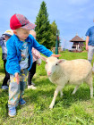 CELODENNÍ VÝLET NA KOZLOVSKÝ KOPEC