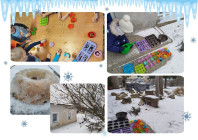 Fotogalerie k projektu: "STROMOVÁ ŠKOLIČKA"